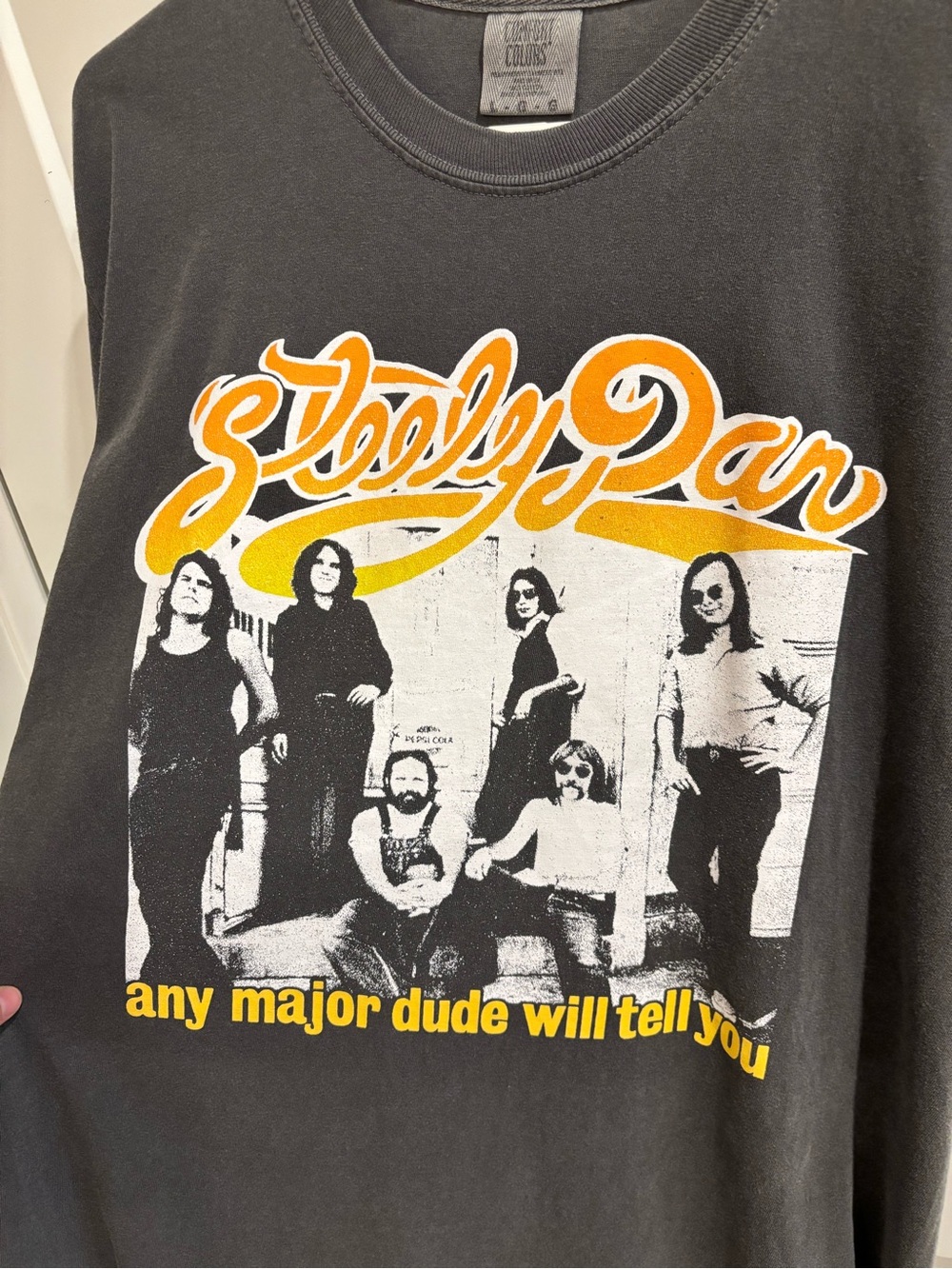 Steely Dan t-shirt, men’s size L *cropped hem* - Picture 2 of 8